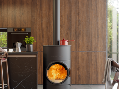 poele bois clou compact cook
